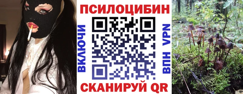 Псилоцибиновые грибы мухоморы  наркота  маркетплейс состав  Тутаев 